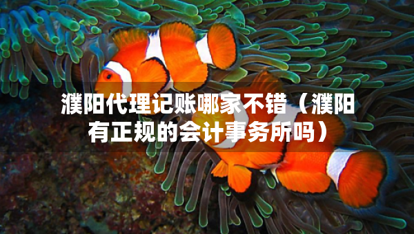濮陽代理記賬哪家不錯（濮陽有正規(guī)的會計事務所嗎）