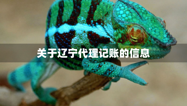 關(guān)于遼寧代理記賬的信息