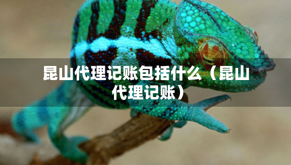 昆山代理記賬包括什么（昆山 代理記賬）