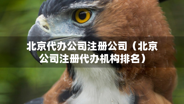 北京代辦公司注冊(cè)公司（北京公司注冊(cè)代辦機(jī)構(gòu)排名）