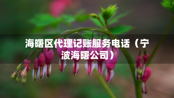 海曙區(qū)代理記賬服務(wù)電話（寧波海曙公司）
