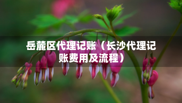 岳麓區(qū)代理記賬（長沙代理記賬費用及流程）