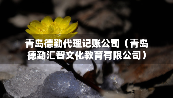 青島德勤代理記賬公司（青島德勤匯智文化教育有限公司）