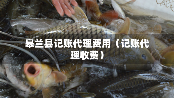 皋蘭縣記賬代理費(fèi)用（記賬代理收費(fèi)）