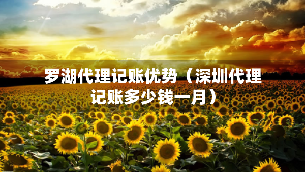 羅湖代理記賬優(yōu)勢(shì)（深圳代理記賬多少錢一月）