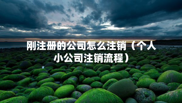 剛注冊(cè)的公司怎么注銷(xiāo)（個(gè)人小公司注銷(xiāo)流程）