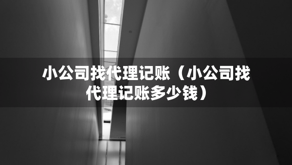 小公司找代理記賬（小公司找代理記賬多少錢(qián)）