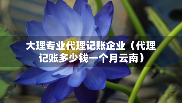 大理專業(yè)代理記賬企業(yè)（代理記賬多少錢一個月云南）