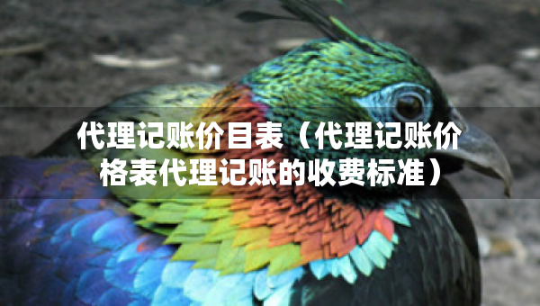 代理記賬價目表（代理記賬價格表代理記賬的收費標準）