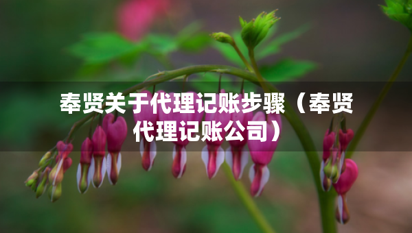 奉賢關于代理記賬步驟（奉賢代理記賬公司）