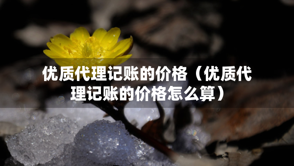 優(yōu)質(zhì)代理記賬的價(jià)格(優(yōu)質(zhì)代理記賬的價(jià)格怎么算) 優(yōu)質(zhì)代理記賬的價(jià)格(優(yōu)質(zhì)代理記賬的價(jià)格怎么算)