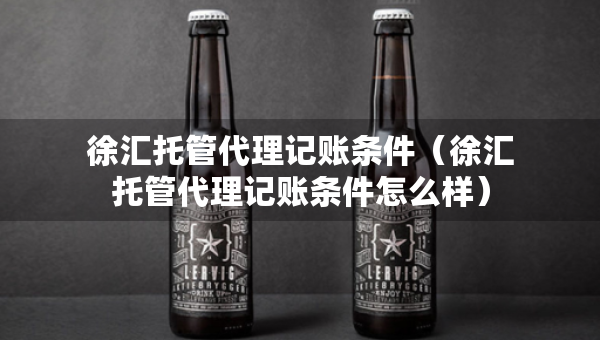 徐匯托管代理記賬條件（徐匯托管代理記賬條件怎么樣）