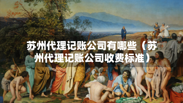 蘇州代理記賬公司有哪些（蘇州代理記賬公司收費標準）