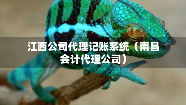 江西公司代理記賬系統(tǒng)（南昌會計代理公司）