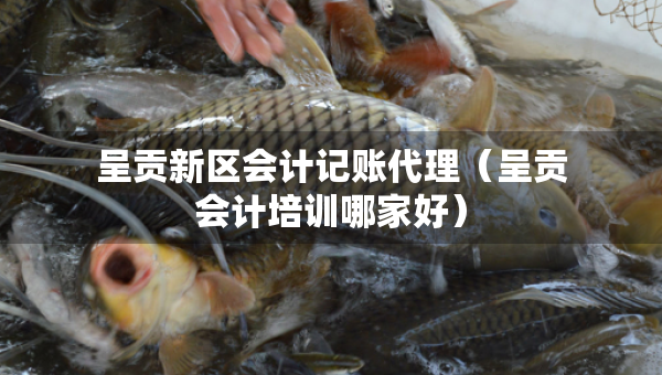 呈貢新區(qū)會(huì)計(jì)記賬代理（呈貢會(huì)計(jì)培訓(xùn)哪家好）