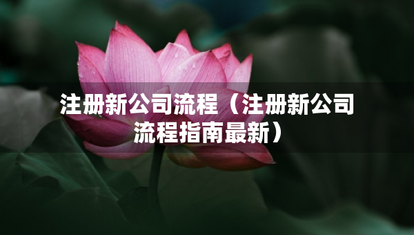 注冊(cè)新公司流程（注冊(cè)新公司流程指南最新）