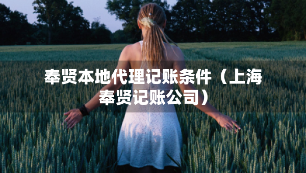 奉賢本地代理記賬條件（上海奉賢記賬公司）