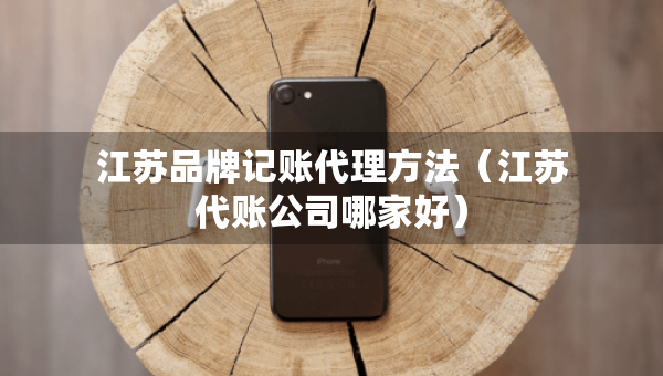 江蘇品牌記賬代理方法（江蘇代賬公司哪家好）