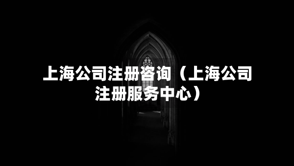 上海公司注冊(cè)咨詢（上海公司注冊(cè)服務(wù)中心）