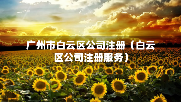 廣州市白云區(qū)公司注冊(cè)（白云區(qū)公司注冊(cè)服務(wù)）