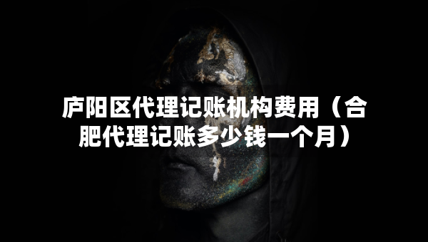 廬陽區(qū)代理記賬機構費用（合肥代理記賬多少錢一個月）