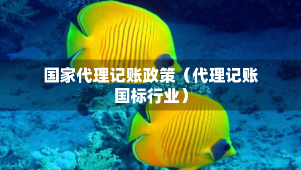 國家代理記賬政策（代理記賬國標行業(yè)）