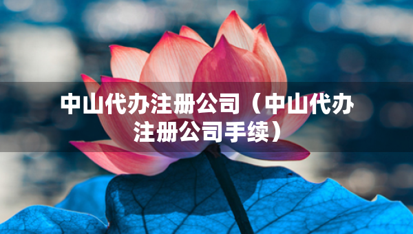 中山代辦注冊公司（中山代辦注冊公司手續(xù)）