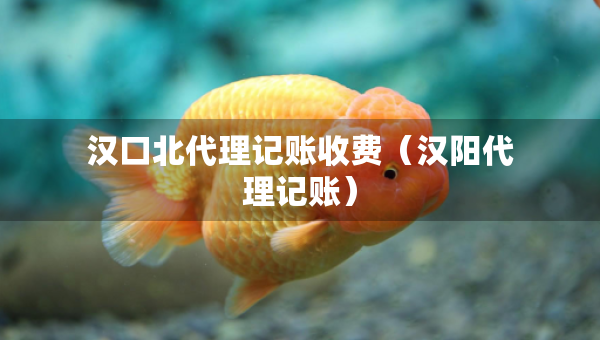 漢口北代理記賬收費(fèi)（漢陽代理記賬）