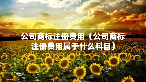 公司商標(biāo)注冊費(fèi)用（公司商標(biāo)注冊費(fèi)用屬于什么科目）