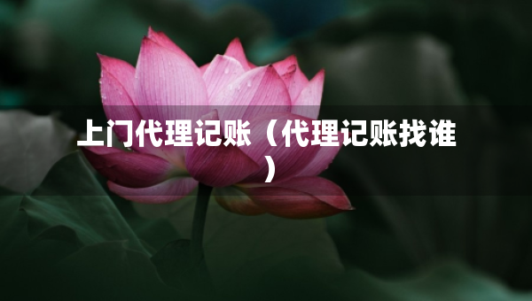 上門代理記賬（代理記賬找誰(shuí)）