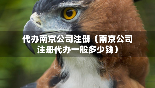 代辦南京公司注冊（南京公司注冊代辦一般多少錢）