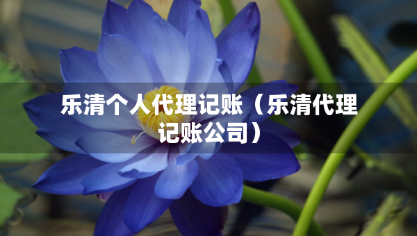 樂清個(gè)人代理記賬(樂清代理記賬公司) 樂清個(gè)人代理記賬(樂清代理記賬公司)