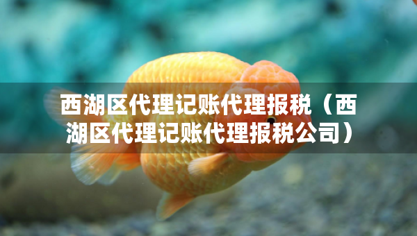 西湖區(qū)代理記賬代理報稅（西湖區(qū)代理記賬代理報稅公司）