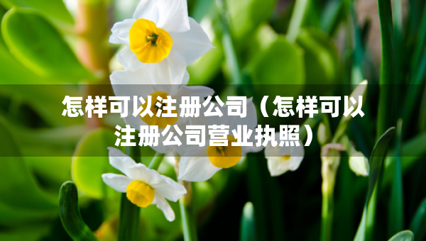 怎樣可以注冊(cè)公司（怎樣可以注冊(cè)公司營(yíng)業(yè)執(zhí)照）