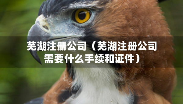 蕪湖注冊公司(蕪湖注冊公司需要什么手續(xù)和證件) 蕪湖注冊公司(蕪湖注冊公司需要什么手續(xù)和證件)