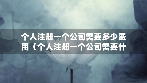 個人注冊一個公司需要多少費用（個人注冊一個公司需要什么條件）