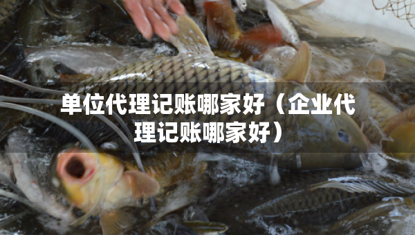 單位代理記賬哪家好（企業(yè)代理記賬哪家好）