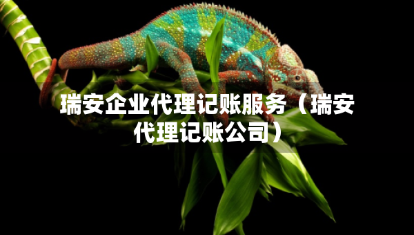 瑞安企業(yè)代理記賬服務(wù)（瑞安代理記賬公司）
