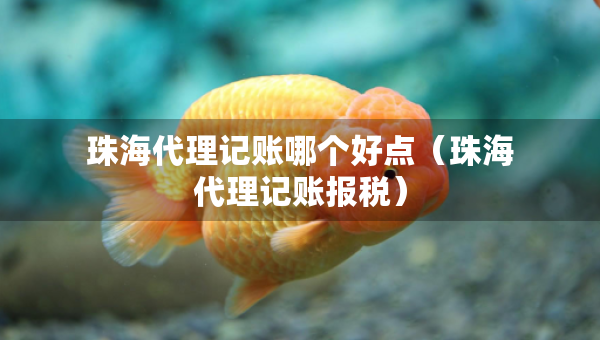 珠海代理記賬哪個(gè)好點(diǎn)（珠海代理記賬報(bào)稅）