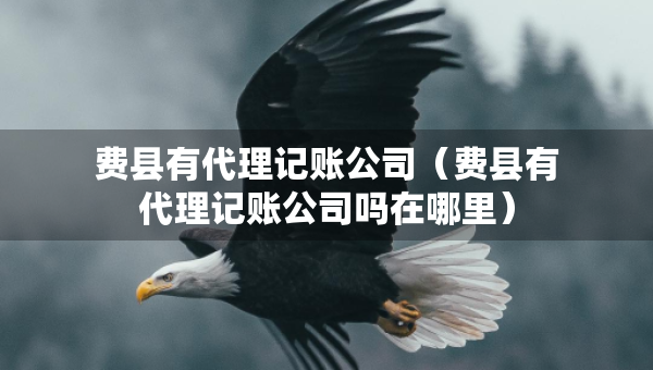 費(fèi)縣有代理記賬公司（費(fèi)縣有代理記賬公司嗎在哪里）