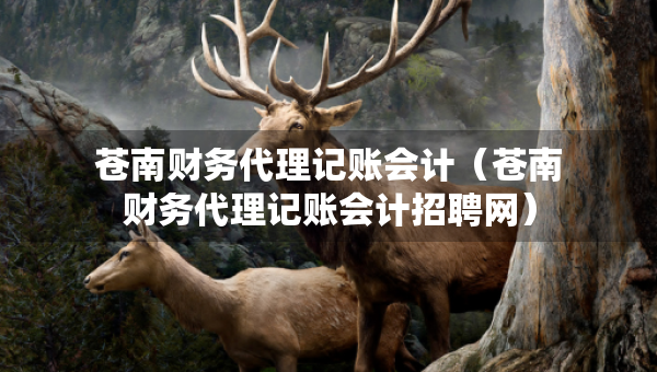 蒼南財務代理記賬會計（蒼南財務代理記賬會計招聘網(wǎng)）