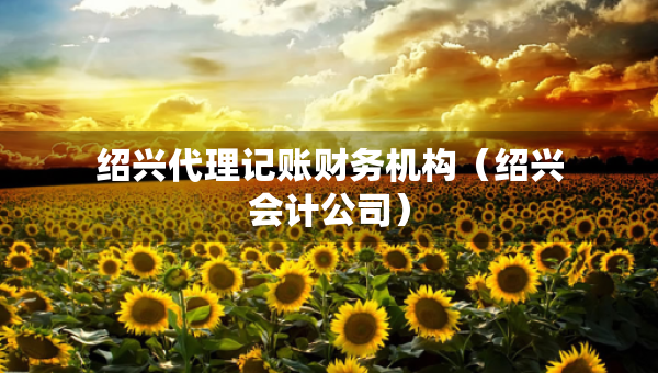 紹興代理記賬財(cái)務(wù)機(jī)構(gòu)（紹興會(huì)計(jì)公司）