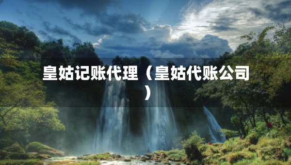 皇姑記賬代理(皇姑代賬公司) 皇姑記賬代理(皇姑代賬公司)