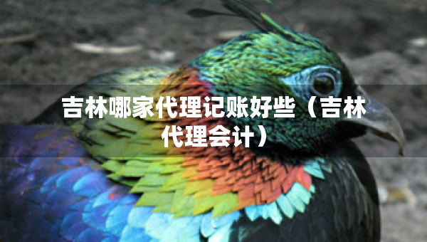 吉林哪家代理記賬好些(吉林代理會(huì)計(jì)) 吉林哪家代理記賬好些(吉林代理會(huì)計(jì))
