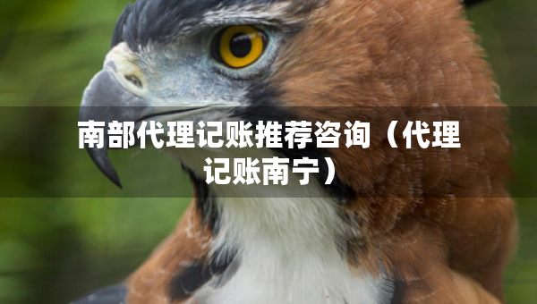 南部代理記賬推薦咨詢(xún)（代理記賬南寧）