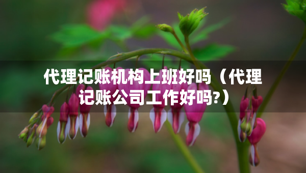 代理記賬機構(gòu)上班好嗎（代理記賬公司工作好嗎?）