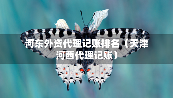河?xùn)|外資代理記賬排名（天津河西代理記賬）