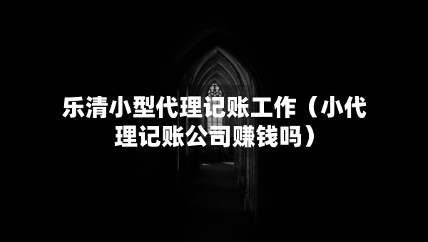 樂清小型代理記賬工作（小代理記賬公司賺錢嗎）