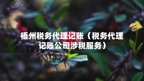 梧州稅務代理記賬（稅務代理記賬公司涉稅服務）