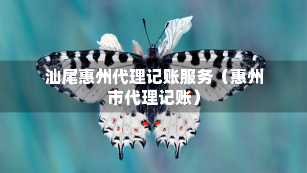 汕尾惠州代理記賬服務(wù)（惠州市代理記賬）